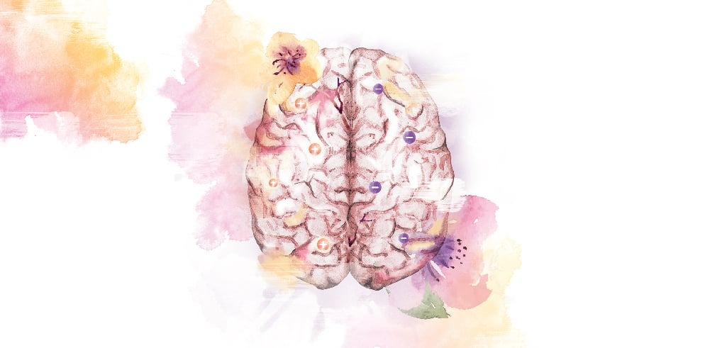 Local real-world study interim analysis demonstrates promising results: TTFields therapy on quality-of-life for newly diagnosed glioblastoma patients